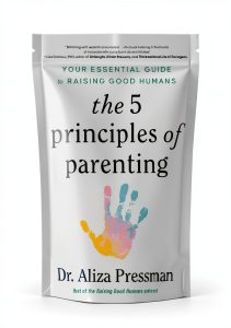 Headline Home Parenting Guide Kindle 450‑Page Lifespan Development-0